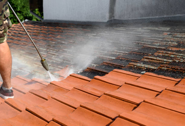 Why Choose Our Certified Pressure Washing Experts for Your Project Needs in Valrico, FL?