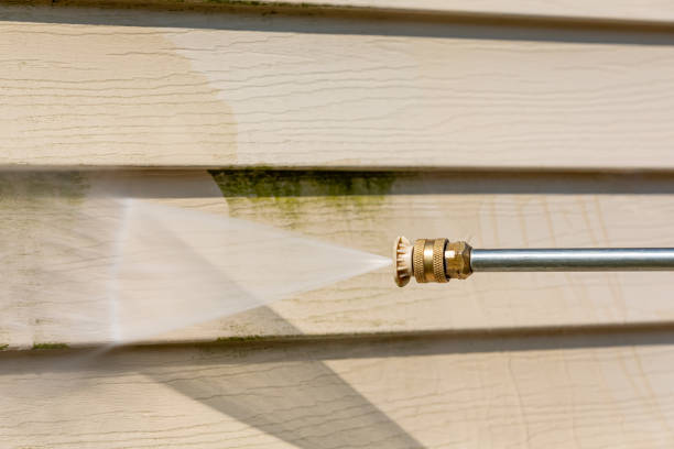 Valrico, FL Pressure Washing Pros