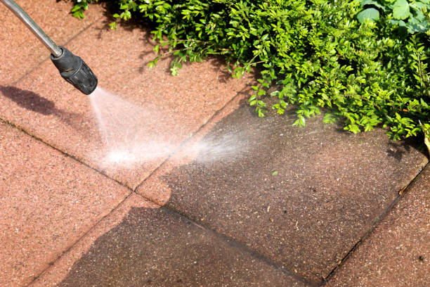 Professional Pressure Washing in Valrico, FL